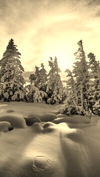 Szary + Sepia