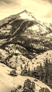 Szary + Sepia