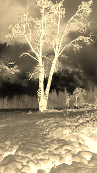 Sepia + Negatyw