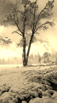 Szary + Sepia