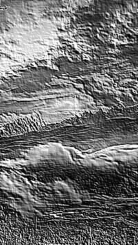 Skamielina