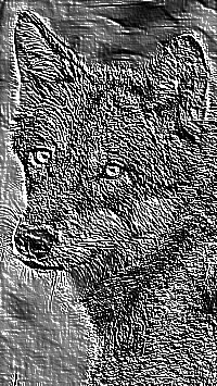 Skamielina
