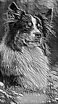 Skamielina