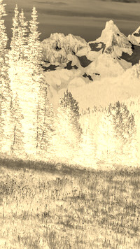 Sepia + Negatyw