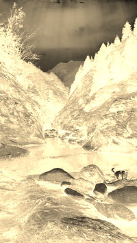 Sepia + Negatyw