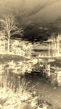 Sepia + Negatyw