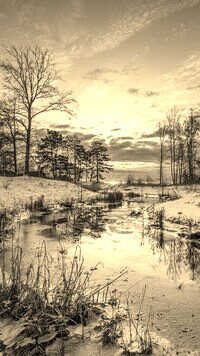 Szary + Sepia