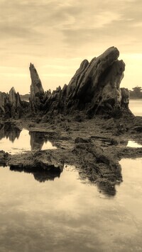 Szary + Sepia