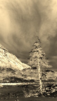 Sepia + Negatyw