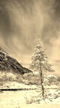 Szary + Sepia