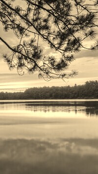 Szary + Sepia