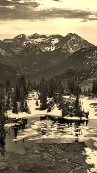 Szary + Sepia