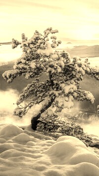 Sepia
