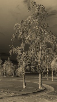 Sepia + Negatyw