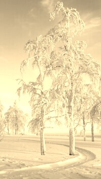 Szary + Sepia