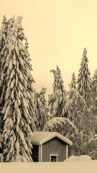 Szary + Sepia