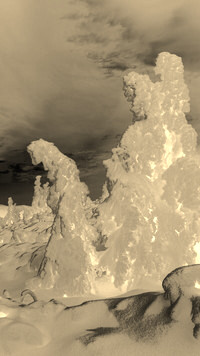 Sepia + Negatyw