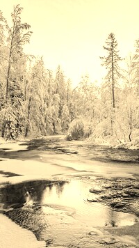 Szary + Sepia