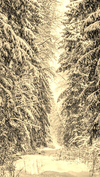 Szary + Sepia