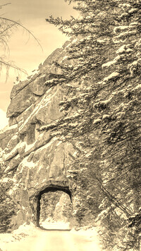 Szary + Sepia