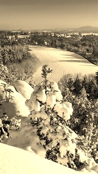 Szary + Sepia