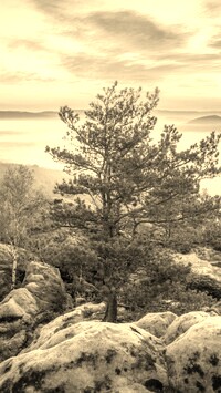 Sepia