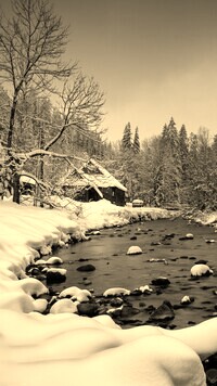 Sepia