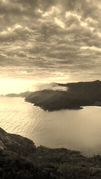 Sepia