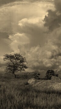 Szary + Sepia