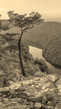 Szary + Sepia