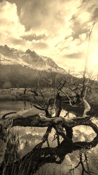 Sepia