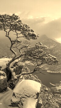 Sepia