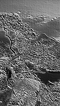 Skamielina