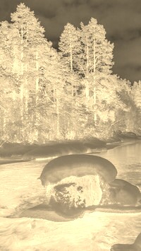 Sepia + Negatyw