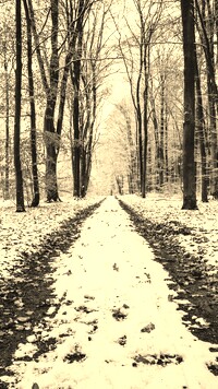 Szary + Sepia