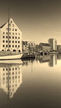 Szary + Sepia