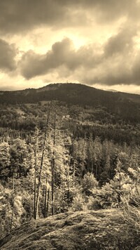 Sepia