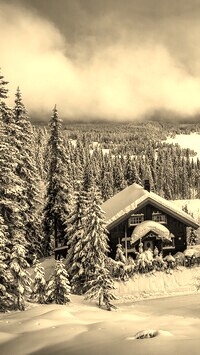 Sepia