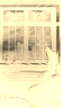 Sepia + Negatyw