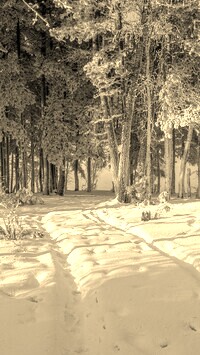 Sepia