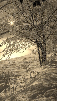 Sepia