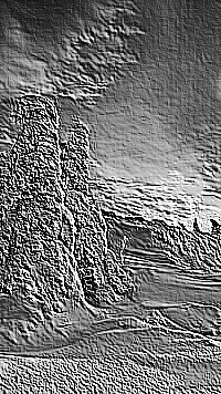 Skamielina