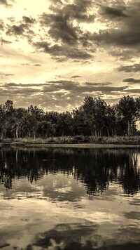 Szary + Sepia