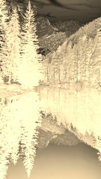 Sepia + Negatyw