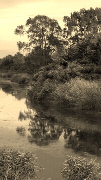 Szary + Sepia