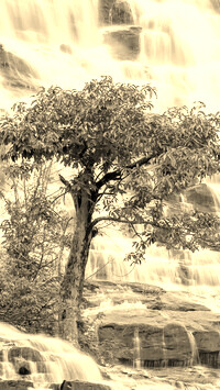 Szary + Sepia