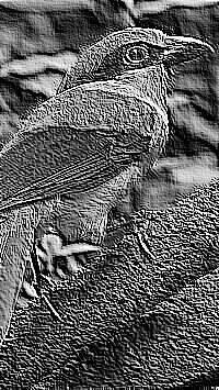 Skamielina