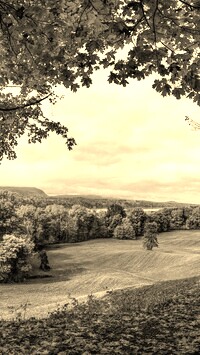 Szary + Sepia
