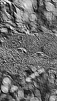 Skamielina