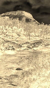 Sepia + Negatyw